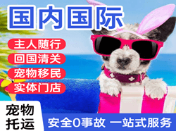 三源浦机场物流国际宠物托运 【国